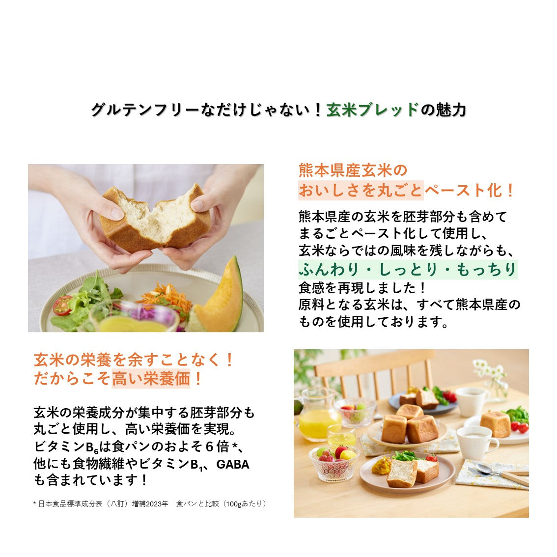 【限定商品】玄米ブレッド プレーン・ロールケーキ2種お試しセット