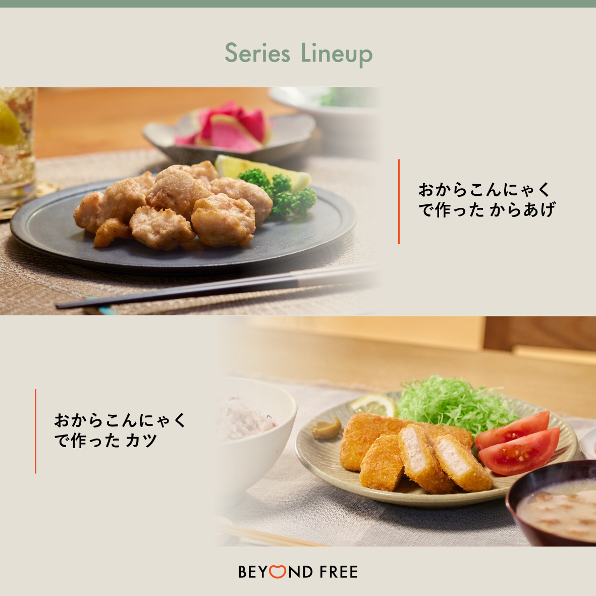 おからこんにゃくで作ったから揚げ 500g（for Business）
