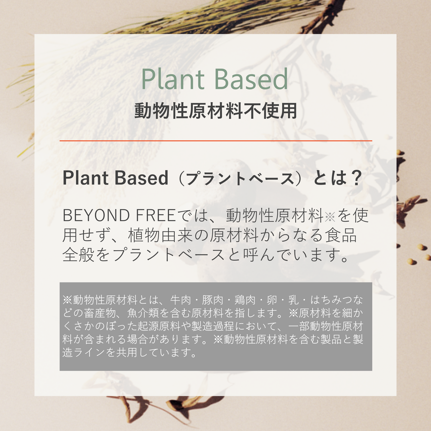 植物生まれの豆乳クリームカップケーキ ココア（10個入り）